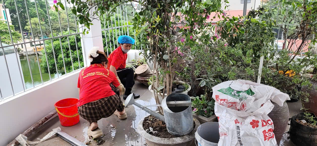 Nhân viên đang dọn dẹp chậu cây trên tầng thượng